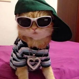 Meet your Posher, Naomi